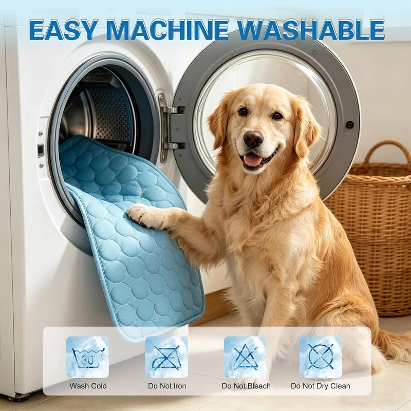 https://cdn.dropmagic.ai/medias/806a10ce-91d0-4c68-9c9c-e478565ff964.webp