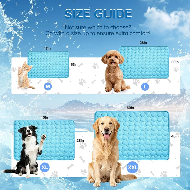 https://cdn.dropmagic.ai/medias/ad555c62-32bd-4a98-83d0-6958a5063b94.webp